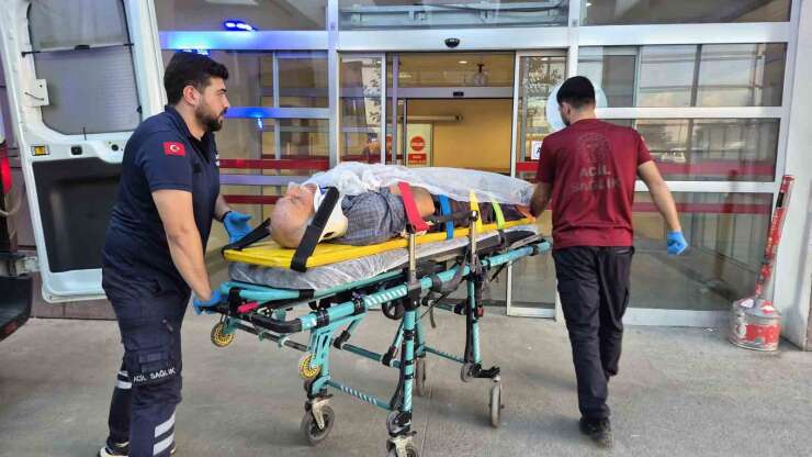 Ağaç keserken düşen yaşlı adam yaralandı