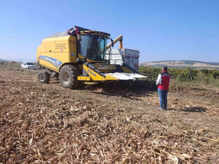 Manisa’da tarımsal üretimde saha denetimleri sürüyor
