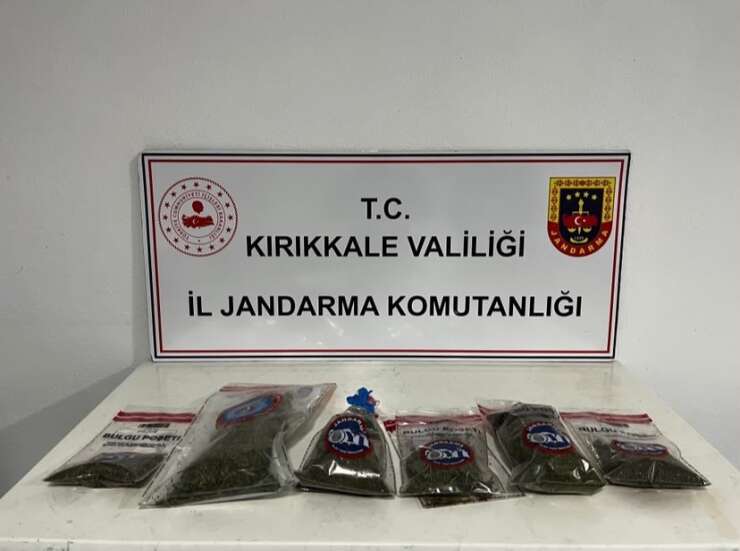Narkotik köpeği "Evin" uyuşturucuyu tespit etti: Bahçede kenevir ve esrar ele geçirildi
