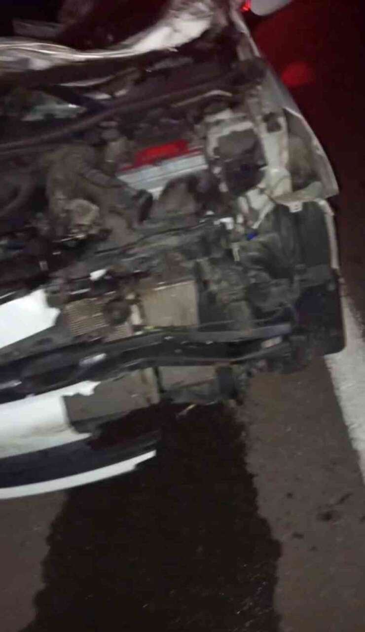 Bingöl’de otomobil ineğe çarptı: 4 yaralı
