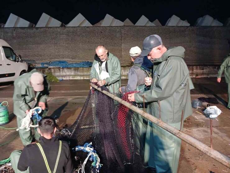 Ağlar bile palamuda dayanamadı