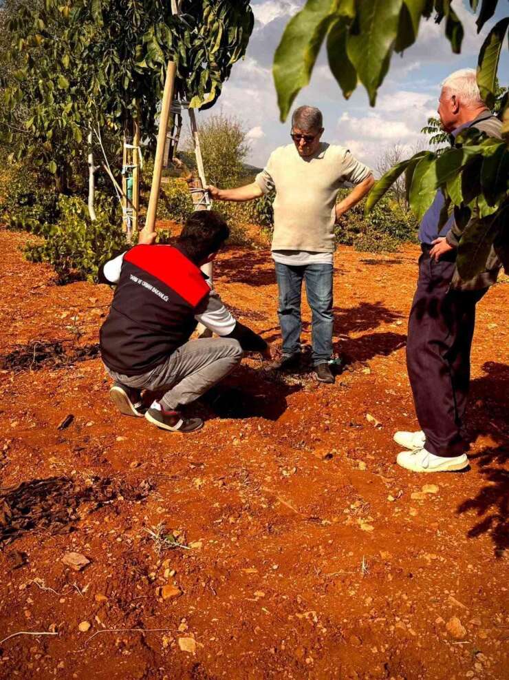 Bekilli’de üreticilere toprak analizi eğitimi verildi
