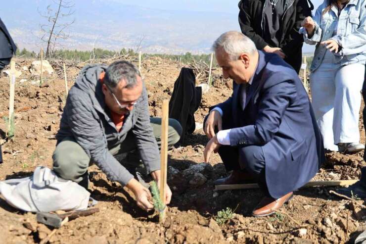 Karabük’te 250 fidan toprakla buluştu