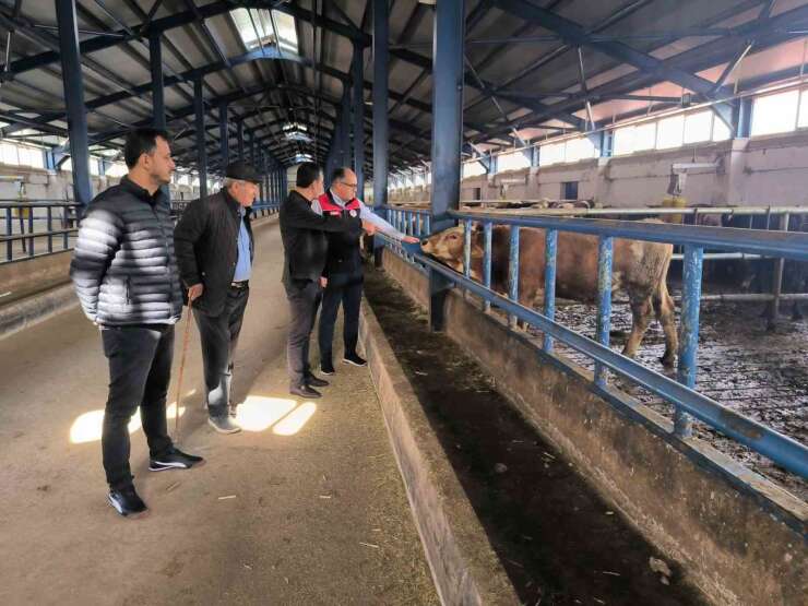 Bayburt’ta yüzde 50 hibe desteğiyle kurulan hayvancılık işletmesi incelendi