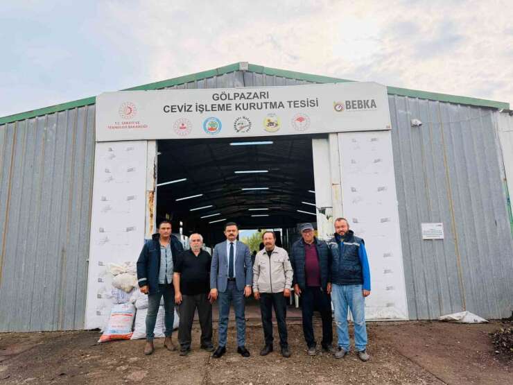 Bu tesiste yılda 400 ton ceviz kurutuluyor