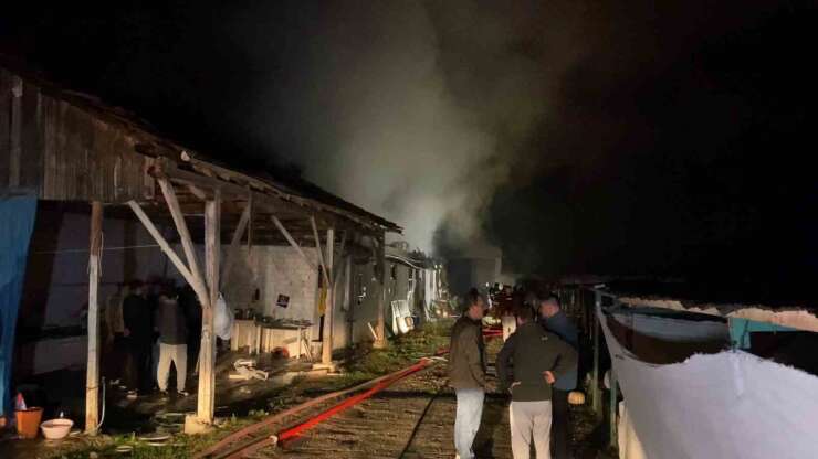 Bursa’da hayvan çiftliği alevlere teslim oldu