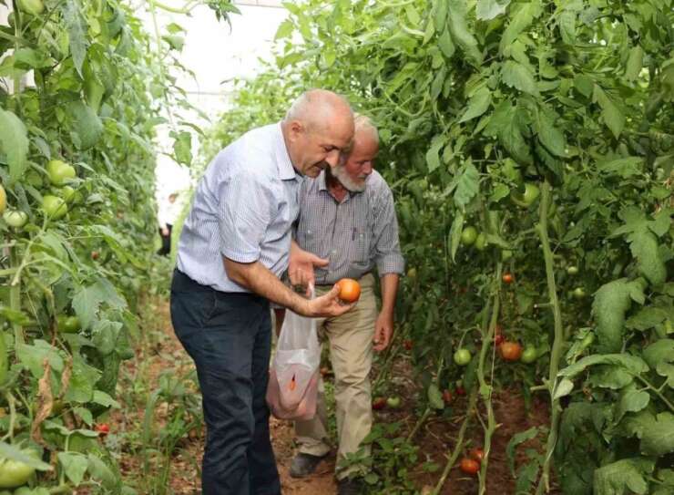 Gebze Belediyesinden çiftçilere tarımsal üretim desteği