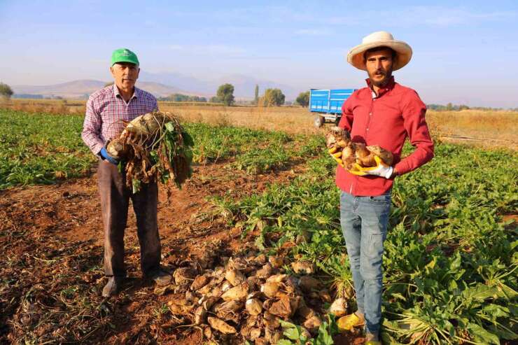 Kahramanmaraş’ta şeker pancarı hasadı başladı