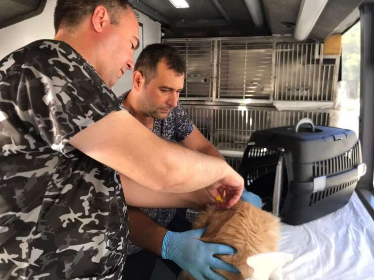 Can Dost’un yeni rotası belli oldu