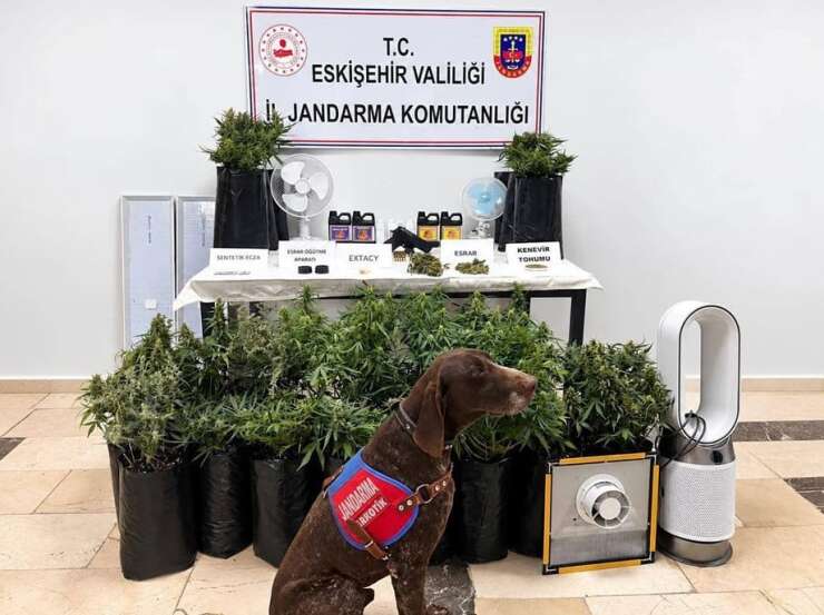 Eskişehir’de 21 poşet kenevir ve çok sayıda uyuşturucu madde jandarma tarafından ele geçirildi