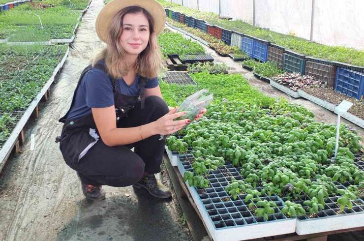 Balıkesirli kadın girişimci yurdun her tarafına fide gönderiyor
