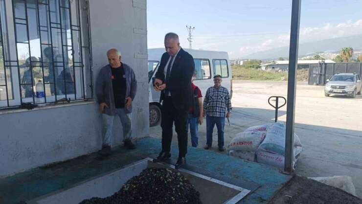 Hatay’da kaliteli zeytinyağı üretimi için hasat uyarısı