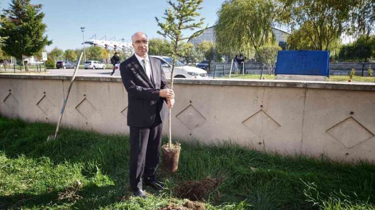 Başmakçı’da evcil hayvanlar kimliklendiriliyor