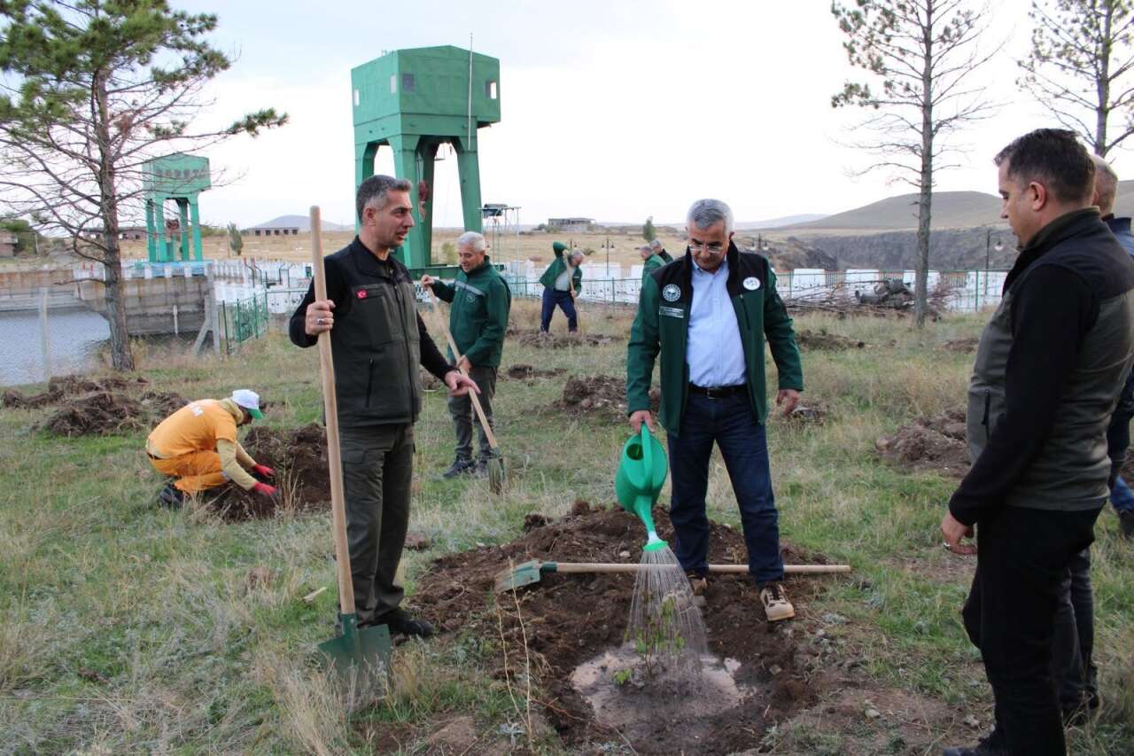 kars-agaclandirma-ilk-fidan-dikimi