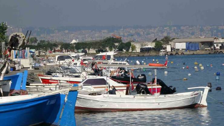 Karadeniz’de palamut alarmı: "Önüne ne gelirse yiyor, bir an önce hepsinin tutulması gerekiyor"