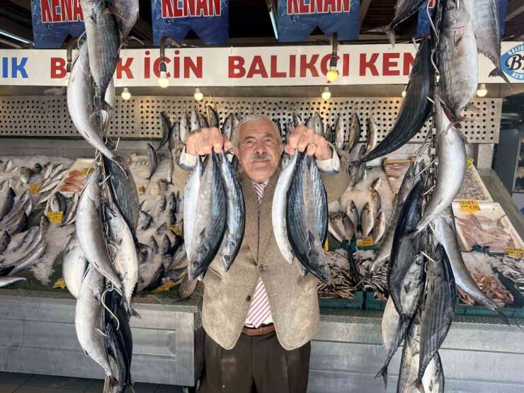 Palamutta bereket, kilosu 100 TLl’ye düştü
