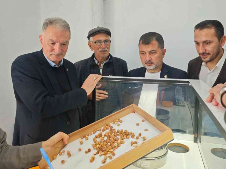 Fındık alım çalışmaları yerinde incelendi