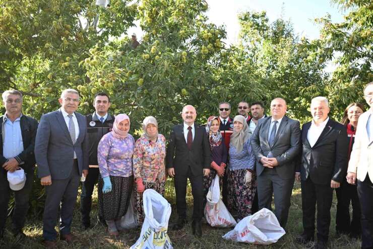 Aydın’da 5 bin 629 kestane üreticisi hasat heyecanı yaşıyor