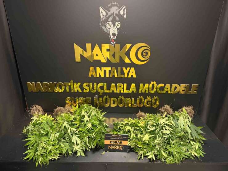 Antalya’da 32 operasyonda 28 bin 519 sentetik ecza ele geçirildi