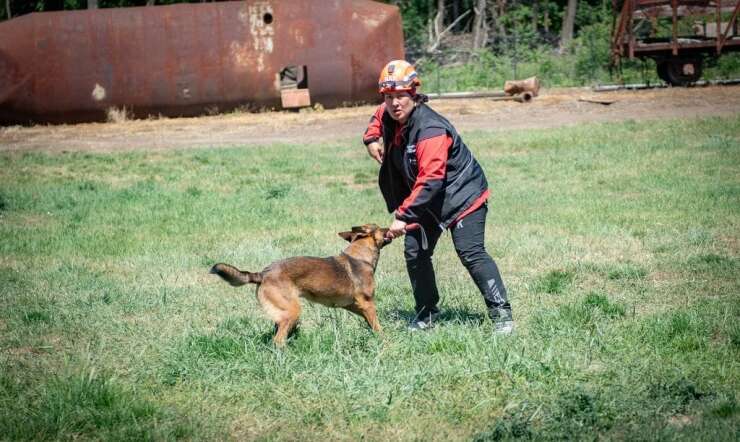 Muğla’nın arama kurtarma köpekleri Tayga ve Foxy görev yeterlilik sınavını geçti