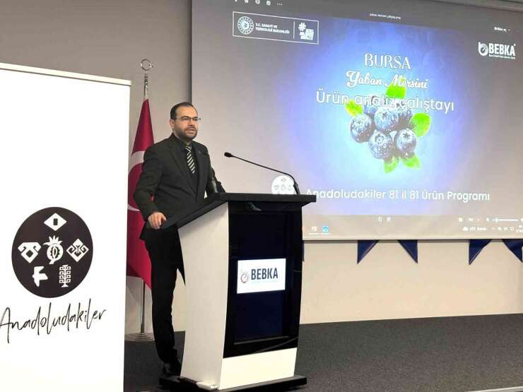 Bursa’nın yaban mersini için yol haritası paydaşlarla çiziliyor