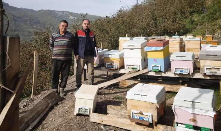 Düzce’de 4 köyde arılı kovan sayımı yapıldı