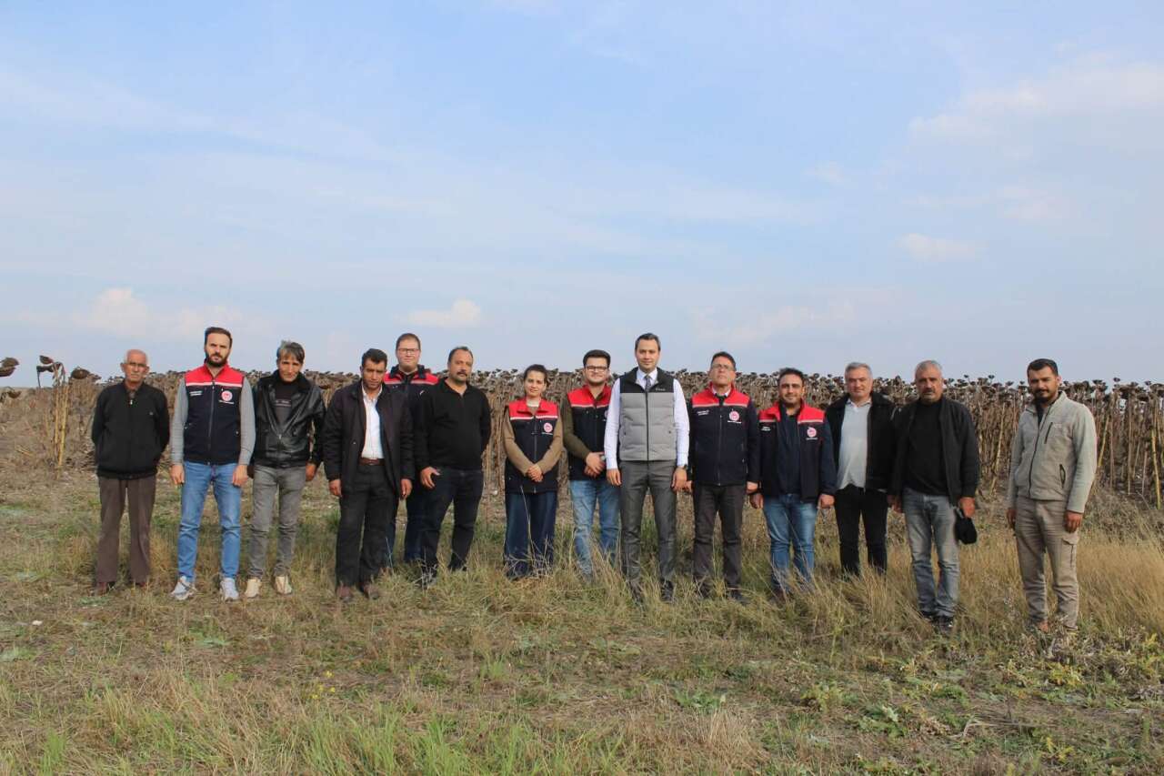 selim-aycicegi-hasadi