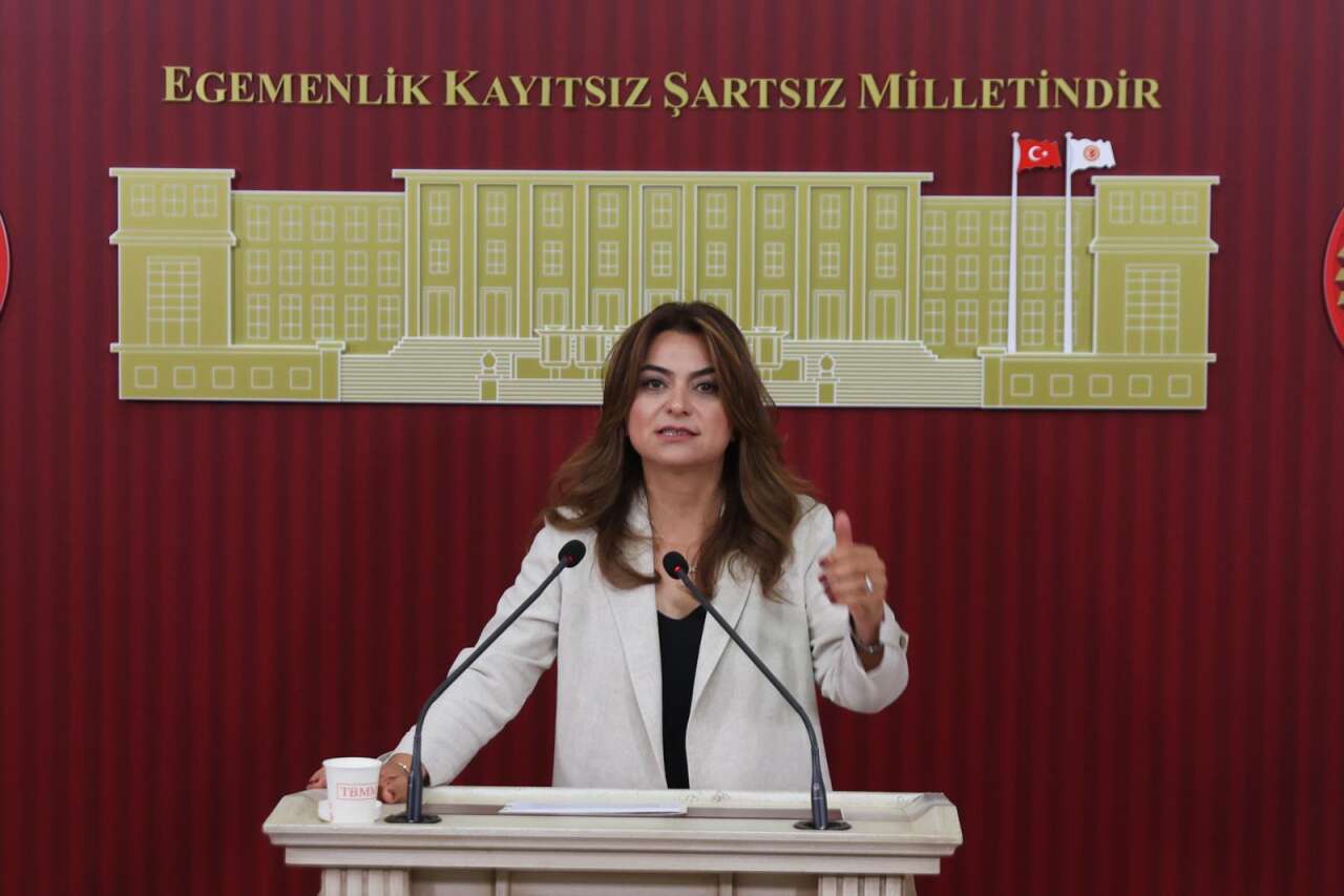 gulustan-kilic-kocyigit-kars-sap-hastaligi-soru-onergesi