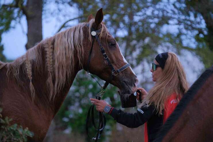 Kocaeli’de 117 binici dörtnala dayanıklılık sınavı verdi