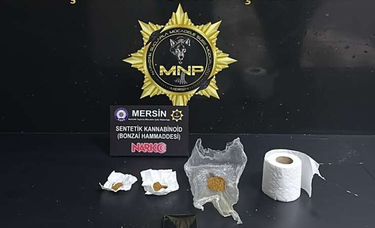 Mersin’de torbacı operasyonu: 2 tutuklama